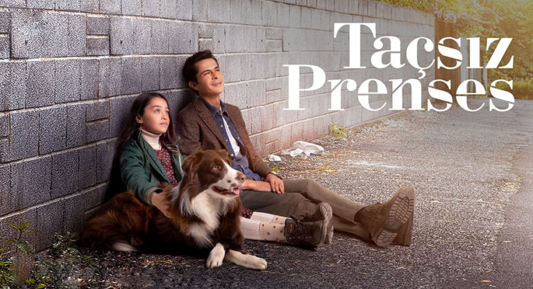 مسلسل أميرة بلا تاج