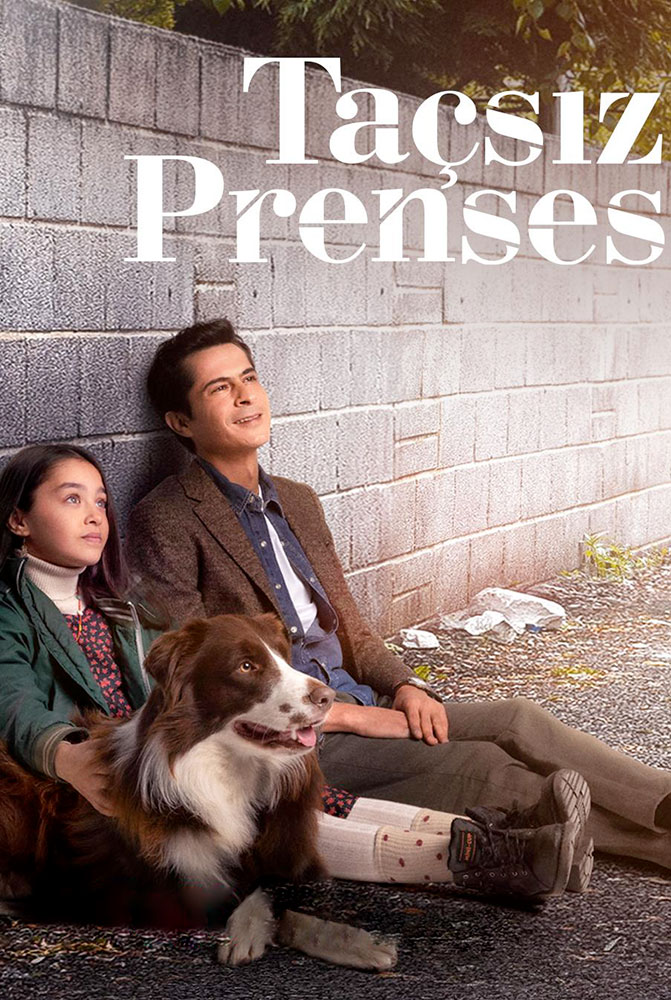 مسلسل أميرة بلا تاج