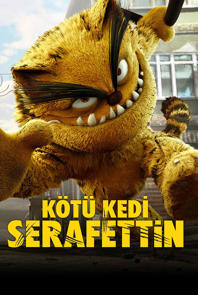 Kotu Kedi